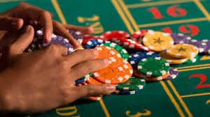 7996 bet