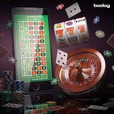 7996 bet