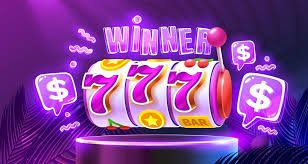 7996 bet