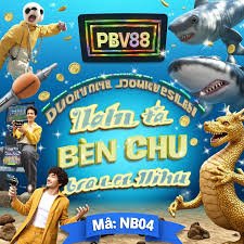 7996 bet